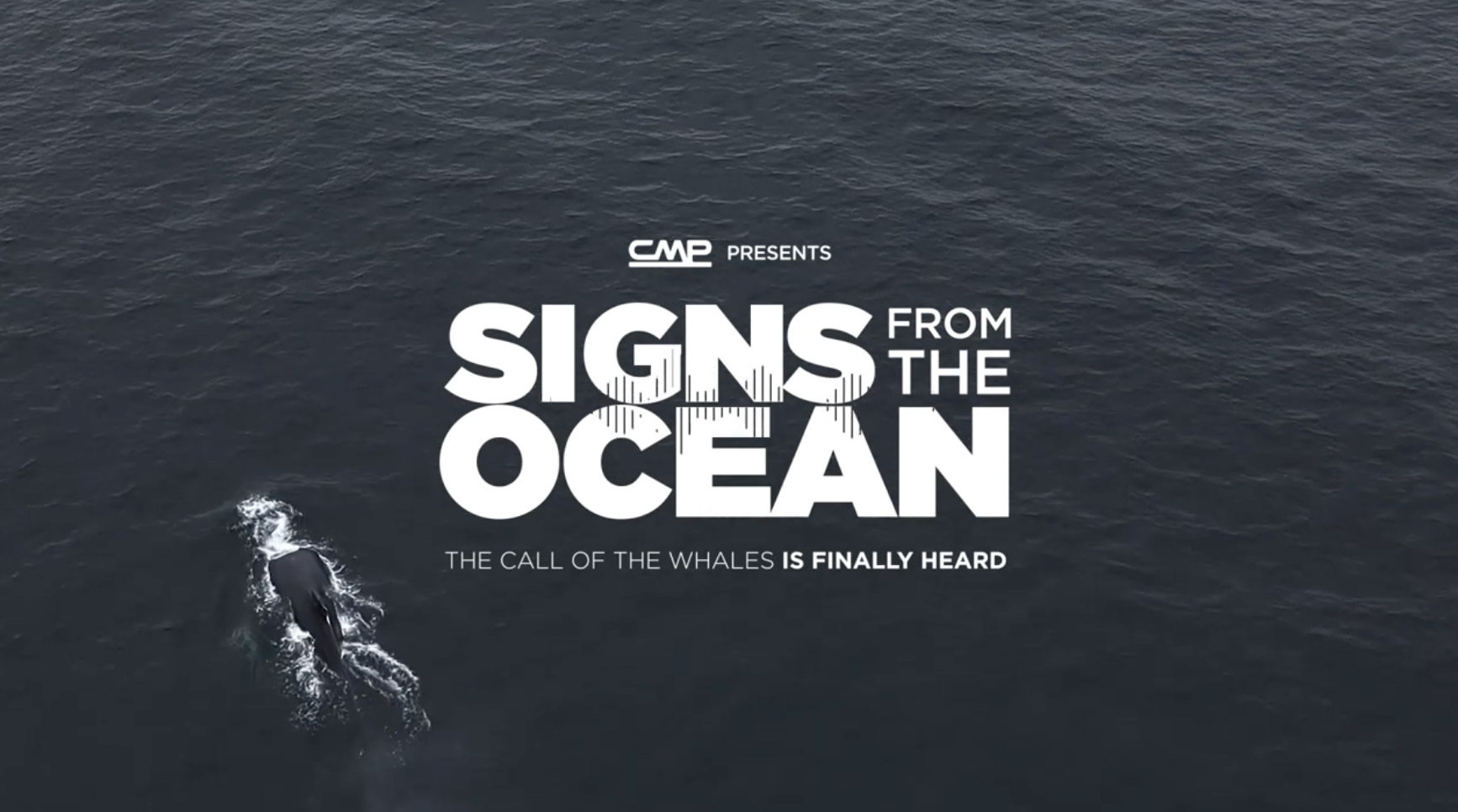 signs